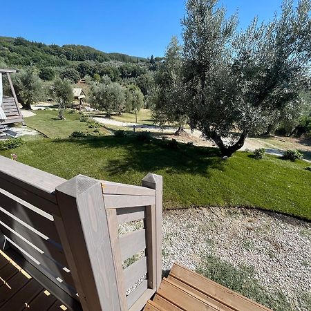 Podere Cortesi Agriturismo Molinaccio サンタ・ルーチェ エクステリア 写真