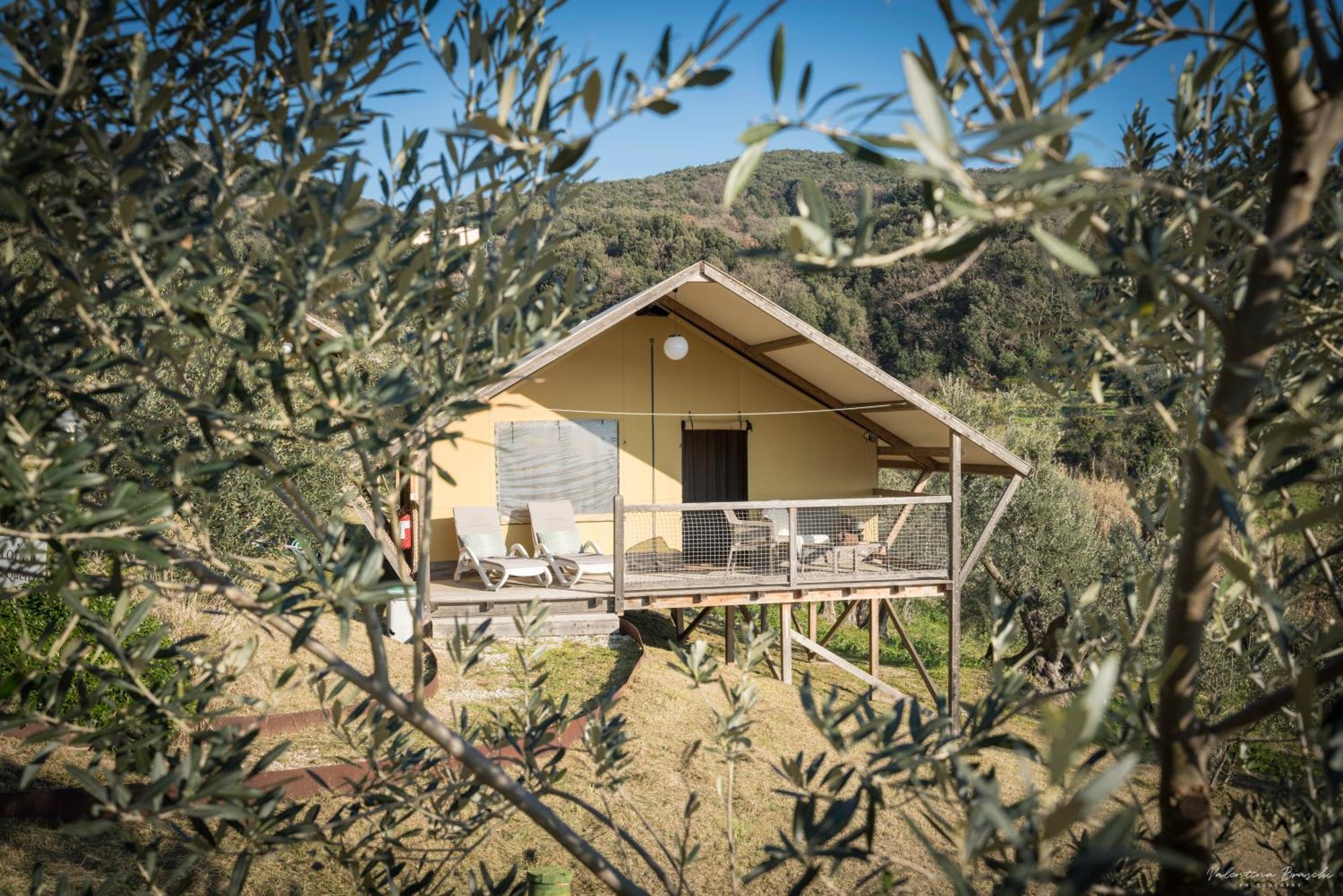 Podere Cortesi Agriturismo Molinaccio サンタ・ルーチェ エクステリア 写真