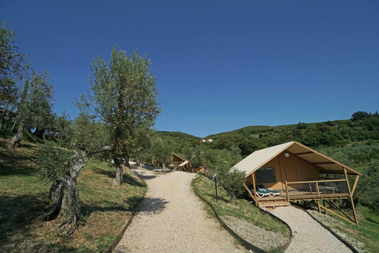 Podere Cortesi Agriturismo Molinaccio サンタ・ルーチェ エクステリア 写真