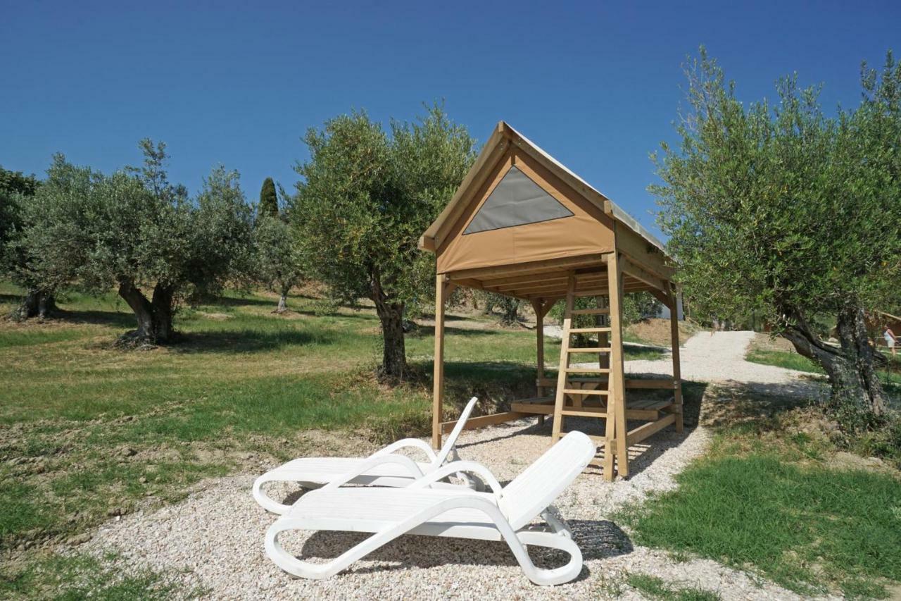 Podere Cortesi Agriturismo Molinaccio サンタ・ルーチェ エクステリア 写真